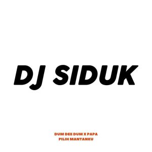 Album Dum Dee Dum X Papa Pilih Mantanku (feat. Dj Suro REMIX) oleh DJ SIDUK