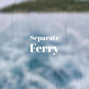 收听Vico Mard的Separate Ferry歌词歌曲