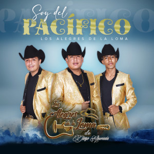 Listen to Avisame song with lyrics from Los Alegres De La Loma De Diego Ahumada