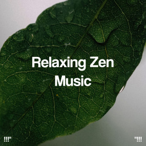 Spa Relaxation的專輯"!!! Relaxing Zen Music !!!"