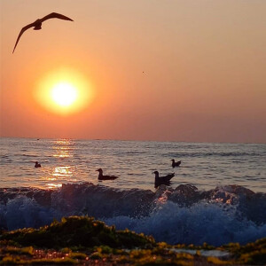 default playlist img