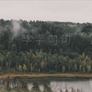 收听王志强的字字句句 (cover: 张碧晨|王赫野) (完整版)歌词歌曲