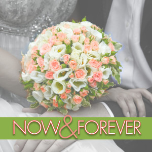 收聽The Faith Crew的Wedding Music歌詞歌曲