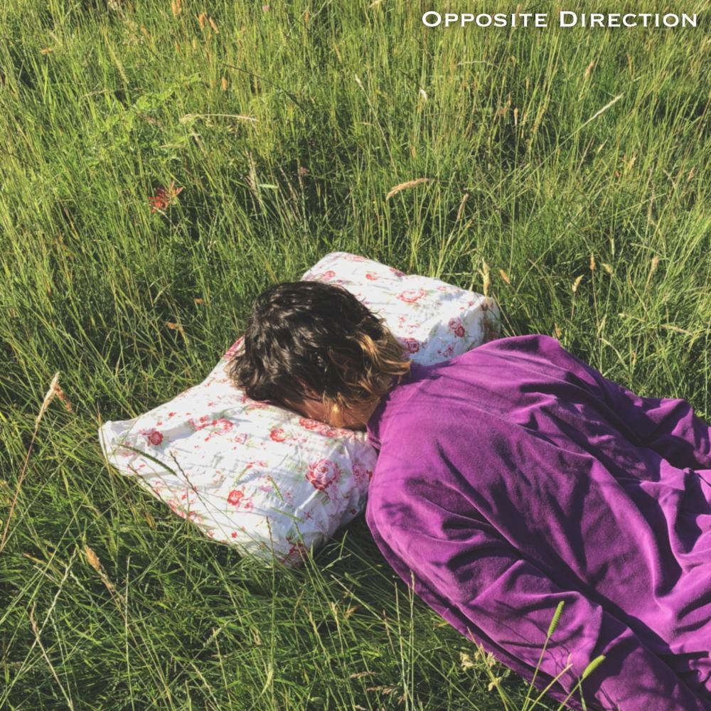 Opposite Direction (feat. Gravy Flukes)