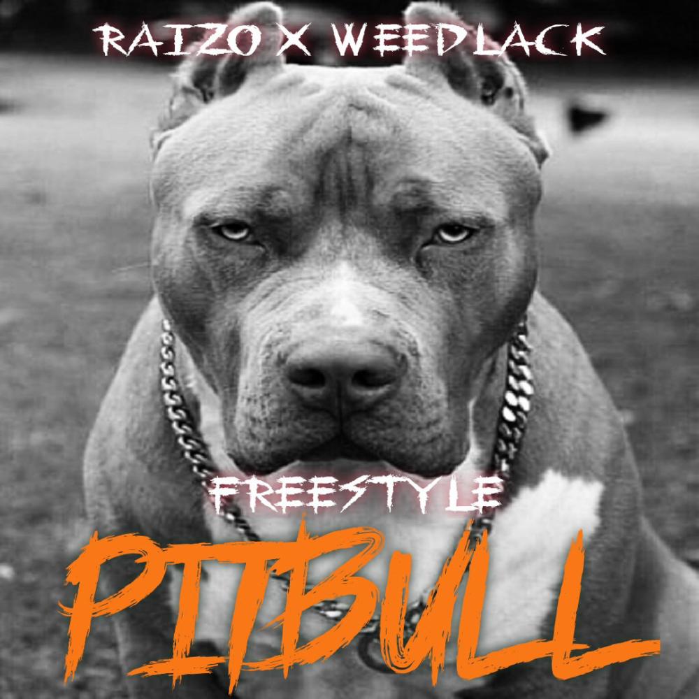 Pitbull (feat. Raizo) (Explicit)