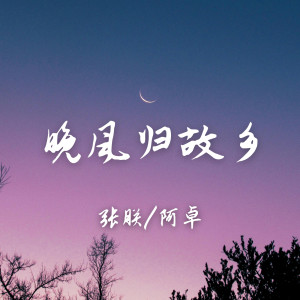Album 晚风归故乡 from 张朕