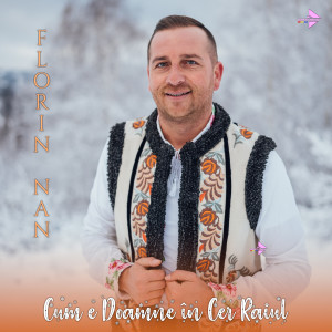 Listen to Cum e Doamne în cer Raiul song with lyrics from Florin Nan