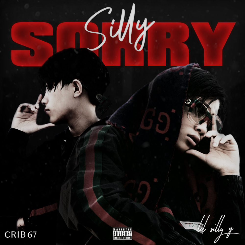 Silly Sorry (Explicit)
