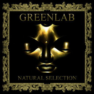 Album Natural Selection from Greenlab