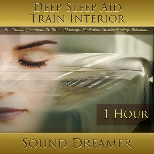 Train Interior (Deep Sleep Aid) [For Tinnitus, Insomnia, De-Stress, Massage, Meditation, Holistic Healing, Relaxation] [1 Hour] (For Tinnitus, Insomnia, De-Stress, Massage, Meditation, Holistic Healing, Relaxation|1 Hour)