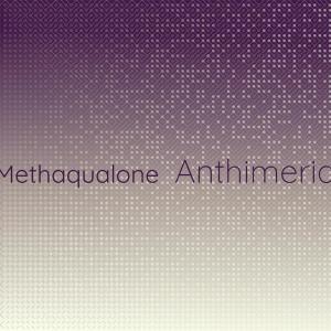 Various Artists的專輯Methaqualone Anthimeria