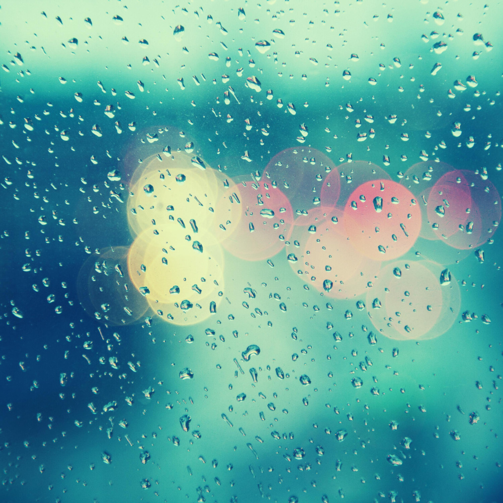 DAY AFTER THE RAIN