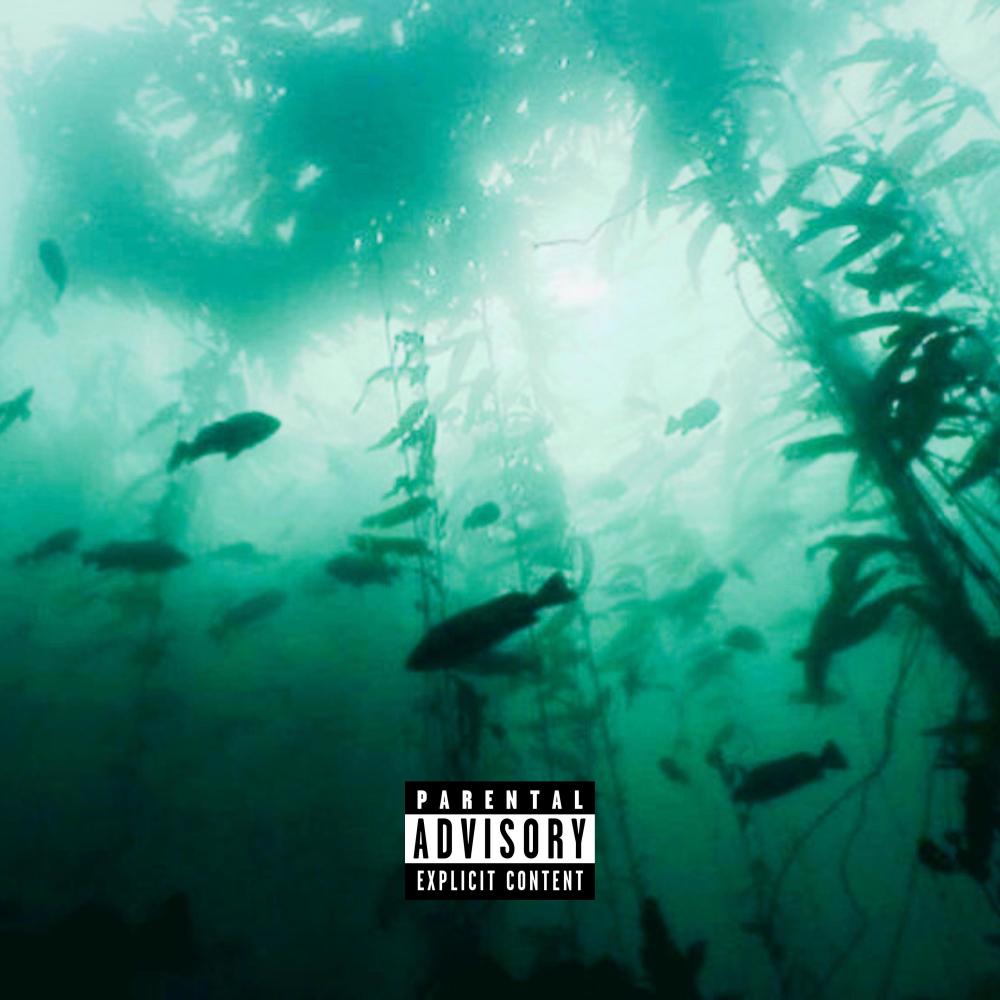high asl. (feat. Seejae) (Explicit)