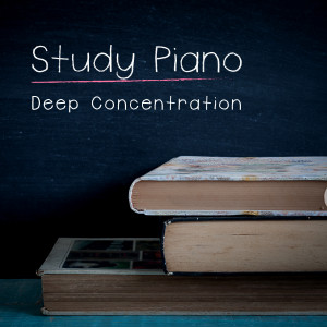 收聽Ambient Study Theory的Solid Scrutinization歌詞歌曲