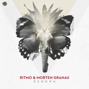 Listen to Reborn song with lyrics from RITMO