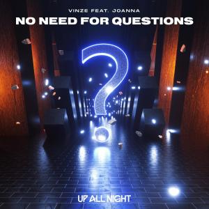 Vinze的专辑No Need for Questions