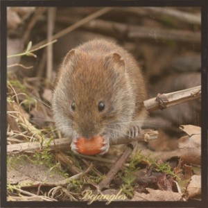 Dengarkan Bojangles lagu dari Duke Ellington dengan lirik