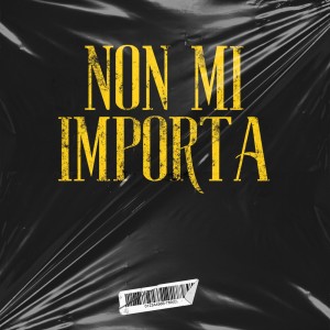 Album Non mi importa from Daniel Vuoto