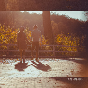 Listen to 오직 너뿐이야 Instrumental (only you Instrumental) song with lyrics from 림호