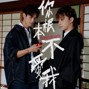 Album 你根本不爱我 from Shane 兆群