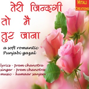 Prem Chanotra的专辑Teri Zindagi To Mai Tur Jaana