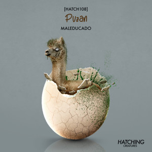 Listen to Maleducado song with lyrics from Puzan