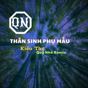 Listen to Thân Sinh Phụ Mẫu (Quý Nhỏ Remix, Instrumental) song with lyrics from Kiều Thơ Mellow
