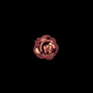 收聽黑崎子的無人區玫瑰 (完整版)歌詞歌曲