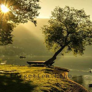 Album Forgetten Echo from 