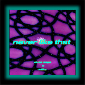 Album Never Like That from Wilke