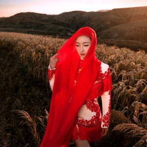 Listen to 朝圣者 (完整版) song with lyrics from 王小妮