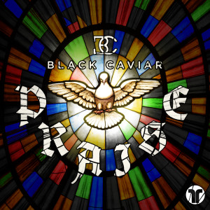 ดาวน์โหลดและฟังเพลง Praise พร้อมเนื้อเพลงจาก Black Caviar