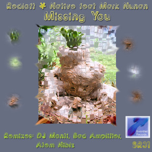 收听Redloft & Native的Missing You (Atem Niblz Remix)歌词歌曲