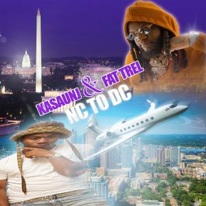 Listen to Dig That (Explicit) song with lyrics from Fat Trel