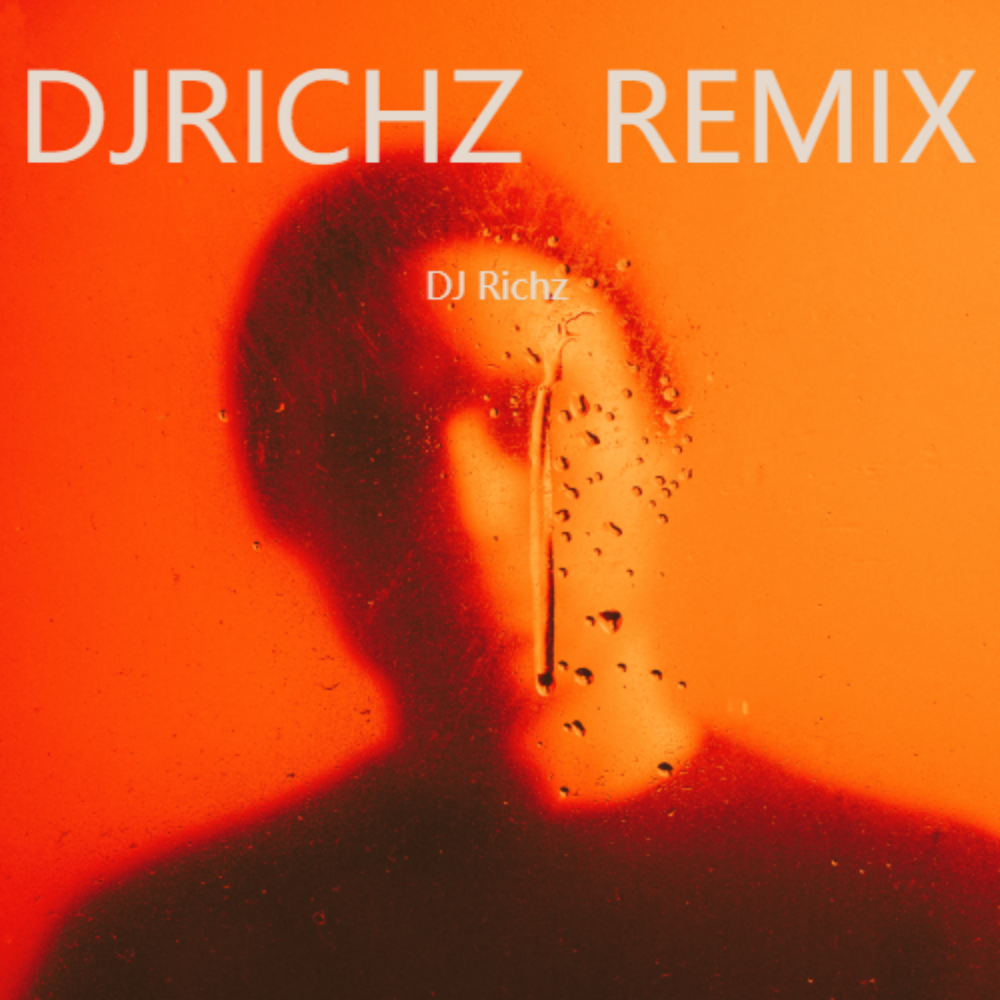 Stereo Love (DJ Richz remix) (Remix)