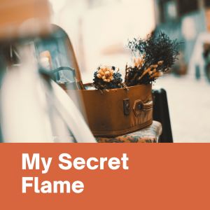 Various Artists的专辑My Secret Flame