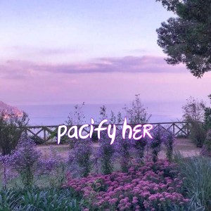 Album Pacify Her from SOLDMANE