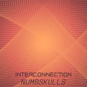 Various Artists的專輯Interconnection Numbskulls