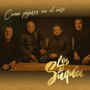 ดาวน์โหลดและฟังเพลง Como Pájaros En El Aire พร้อมเนื้อเพลงจาก Los Del Suquia