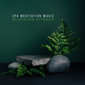 Album Spa Meditation Music (Relaxation Hypnosis with Stress Relief Music) from Relaxing Zen Music Therapy