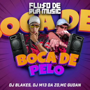 ดาวน์โหลดและฟังเพลง Boca de Pelo พร้อมเนื้อเพลงจาก DJ Blakes