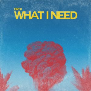收听BRDI的What I Need歌词歌曲