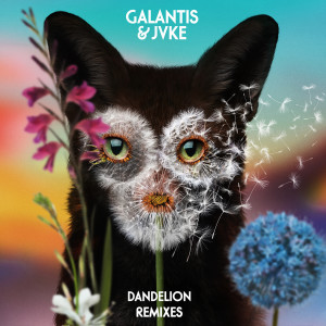 收聽Galantis的Dandelion (Pandapush Remix)歌詞歌曲