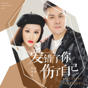 Listen to 爱错了你伤了自己 (DJ版) song with lyrics from 暴林
