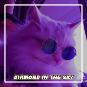 Dengarkan Diamond In The Sky (Remix) lagu dari DJ Apis Team dengan lirik