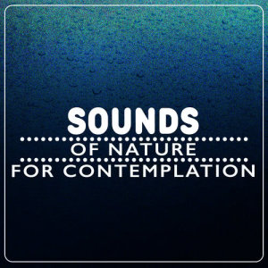 收聽Sounds Of Nature的Waterside Afternoon歌詞歌曲