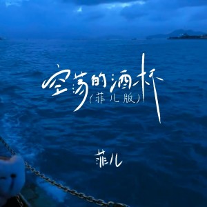 Listen to 空荡的酒杯 (DJ默涵版) song with lyrics from 菲儿