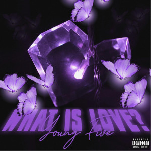 Album What is Love? (Explicit) from Young Five