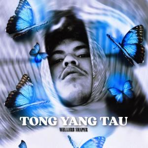 Listen to Tong Yang Tau song with lyrics from Wellerb Smaper