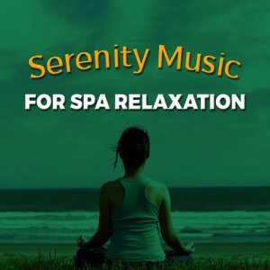 ดาวน์โหลดและฟังเพลง Distractions พร้อมเนื้อเพลงจาก Serenity Spa Music Relaxation
